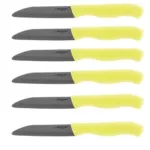fruit knife